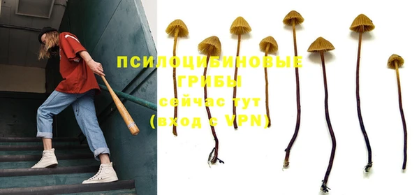 метадон Богородицк