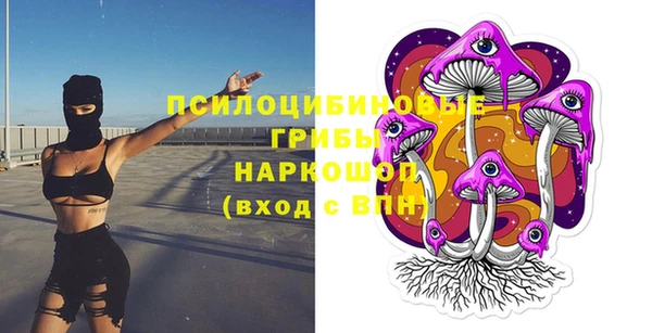 прущая мука Богородск