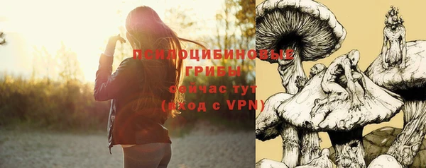 метадон Богородицк